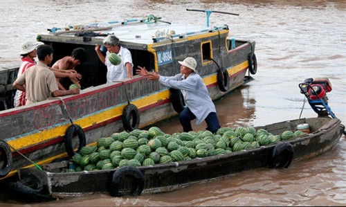 Tham quan vẻ đẹp chợ nổi Cái Bè 